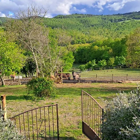 Alloggio per agriturismo Podere Marcigliano Badia A Passigano